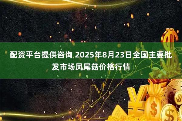 配资平台提供咨询 2025年8月23日全国主要批发市场凤尾菇价格行情
